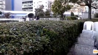黄渤 金马